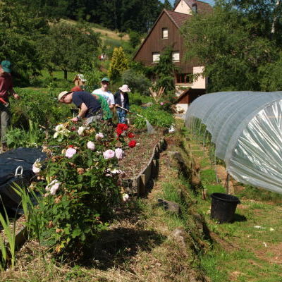 Le jardin en biodynamie des Allagouttes : le travail au jardin sur l