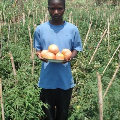 Paysan fier de nous montrer la taille de ses tomates.JPG