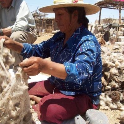 Utilisation de la laine à San Isidro