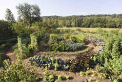 jardinmandala_2.jpg